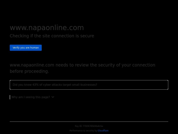 napaonline.com